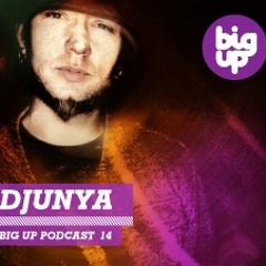 Big Up Magazine Podcast 14 (Djunya)
