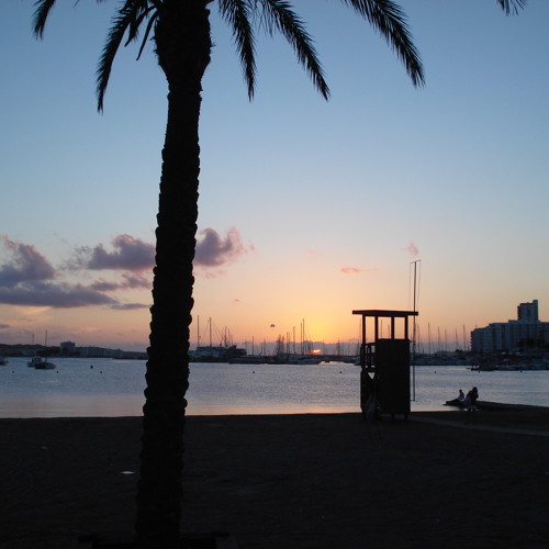 Stream Pulse Ibiza 2010 Mix (Lee Rutter) by PulseUK | Listen online for ...