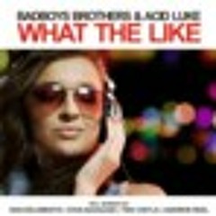 Badboys Brothers Acid Luke What The Like DiscoElements Remix