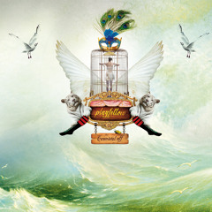 Where April Woods Are Red