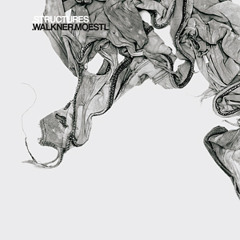 WALKNER.MOESTL DJMIX part M