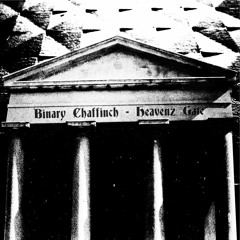 Binary Chaffinch - Heavenz Gate (Cosmo Vitelli  Edit)