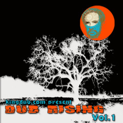 06 - Tsunami Wazahari - Buddha's gun (HardStepper dubplate) - KD001