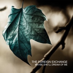 The Foreign Exchange - "Maybe She'll Dream of Me"