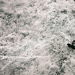 Algorithmic Guitar Solo