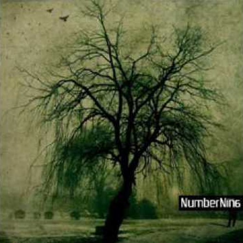 NumberNin6 vs. William Fitzsimmons - What You've Done
