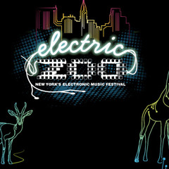 Diplo- Electric Zoo 2010