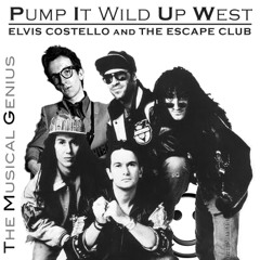 Pump It Wild Up West (TMG Mashup)