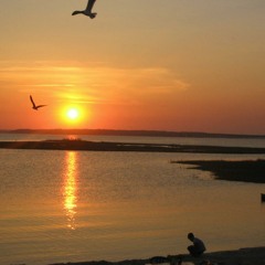 Ant Brooks - Viva (original mix)