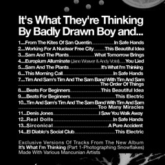 Badly Drawn Boy - In Safe Hands (From the Kites of San Quentin Remix) CLIP