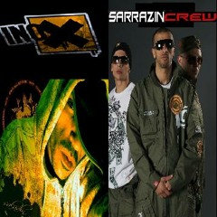 SARRAZIN FT SALADIN @ (REYNERIE-CHARLYKING) 31-BX6 (Video available)
