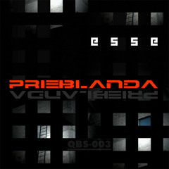 Track: PPDD - Artist: Esse - Title: Prieblanda - #: qbs:003 - Year: 2008