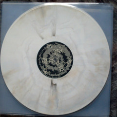 Analog Tecnè Model