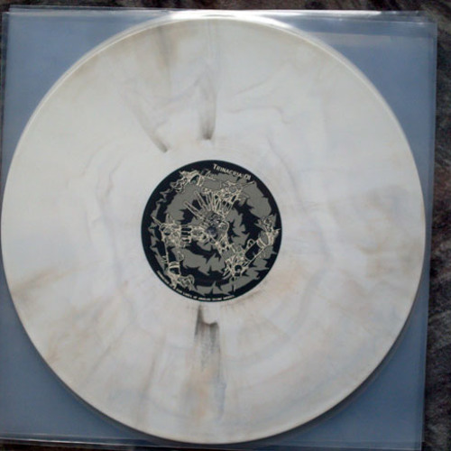 Analog Tecnè Model