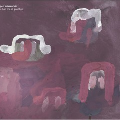Espen Eriksen Trio: In The Woods 2010