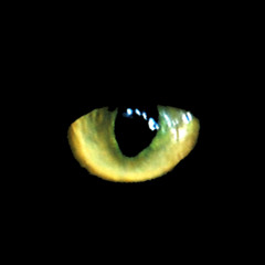 Cache  - Oregonya (Promo Date: 2010. Style:Techno)