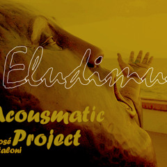 "Eludimus" -Colección Eludimus- (Mataloni 2010)