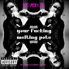 Mix /// Your Fucking Melting Pote Vol.1