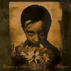 Freaks (From "Bouquet" CD)