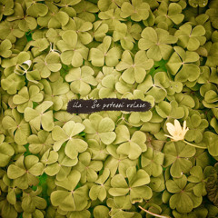 Respira  - Se potessi volare (2010)