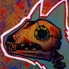 It Happens in Florida