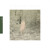 Artwork for Zola Jesus: Poor Animal