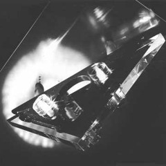 Suicide Commando -Industrial Underground