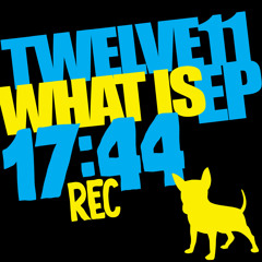 Twelve11 - What Is