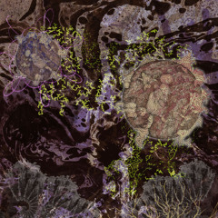 Incinerating the Pattern of Ages