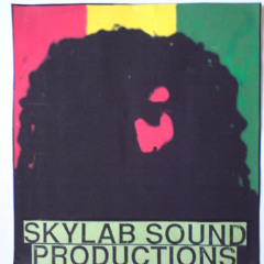 ROOTS REGGAE MIX 2