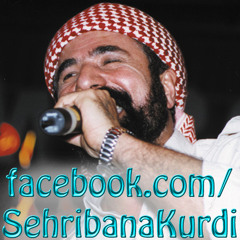 Şıvan Perwer - Qımıl