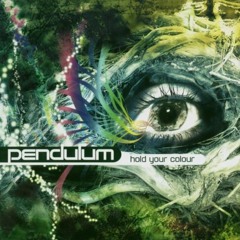 Pendulum HOLD YOUR COLOR "Still Grey" Rob Shire 2005 Electronica