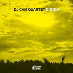 Dj Cam Quartet - Inside My Love (For Minnie)