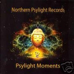 Full Face vs. T.A.O.R - Earth Alert  (Northern Psylight Records)