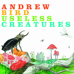 Andrew Bird - Hot Math