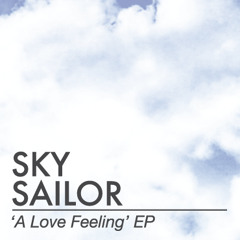 Sky Sailor - Friday Night