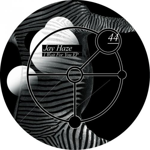 jay haze feat. laila tov - i wait for you ( original mix )