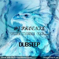 Dub-step_2010mix short