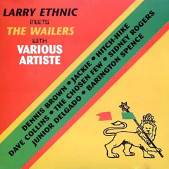 (Larry Ethnic Meets The Wailers) Junior Delgado - Reaction