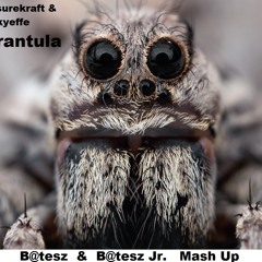 Pleasurekraft&Frankyeffe - Tarantula (Batesz & Batesz Jr. Bootleg)