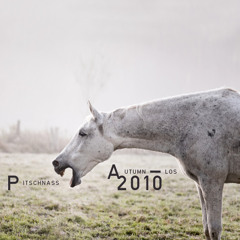 Pitschnass Autumn-los 2010