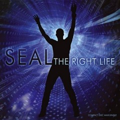 Seal - The Right Life (Alex Roca Radio Mix)