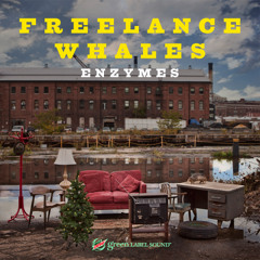 Freelance Whales - "Enzymes"
