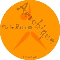 Mac le Bash - Aerobique [Vocal Edit M001]