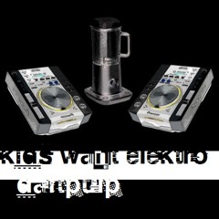 Kids Want Elektro compilation