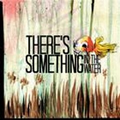 There's Something In The Water