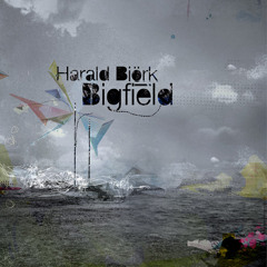 Harald Björk - Din