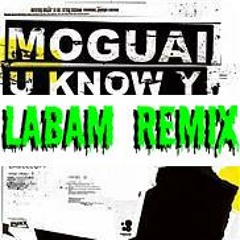 MOGUAI - U KNOW Y (LABAM REMIX)