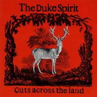 The Duke Spirit - Love is an Unfamiliar Name