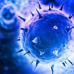 Symbiosis ReRecorded